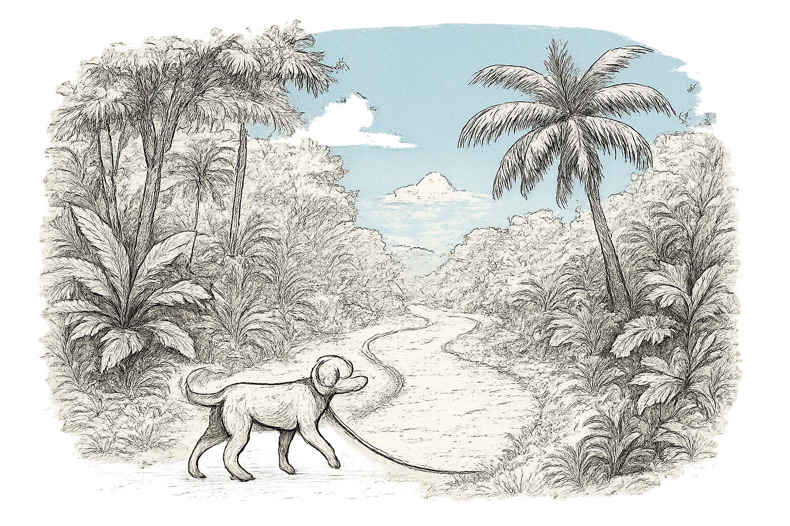 Waar kun je je hond uitlaten op Martinique